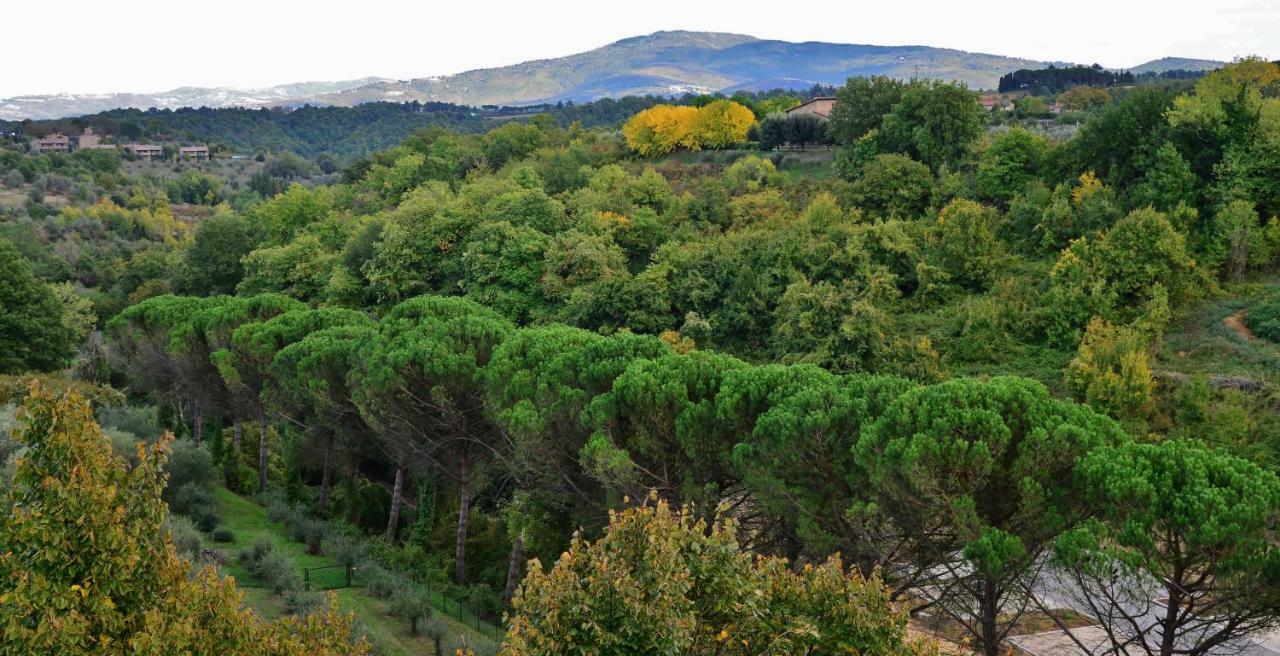 Pieve Suites Città della Pieve Dış mekan fotoğraf